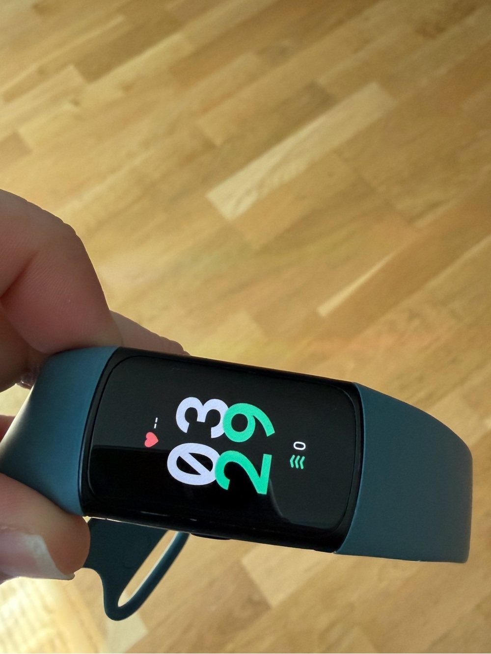 Fitbit charge 6 - charger included